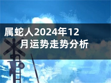 属蛇人2024年12月运势走势分析