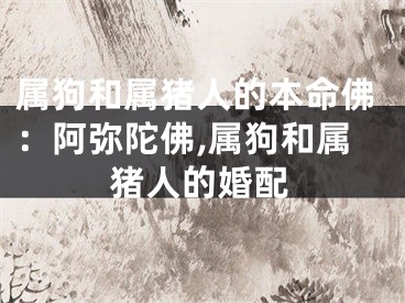 属狗和属猪人的本命佛：阿弥陀佛,属狗和属猪人的婚配