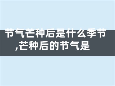 节气芒种后是什么季节,芒种后的节气是