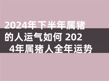 2024年下半年属猪的人运气如何 2024年属猪人全年运势