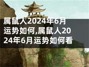 属鼠人2024年6月运势如何,属鼠人2024年6月运势如何看