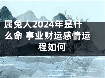 属兔人2024年是什么命 事业财运感情运程如何