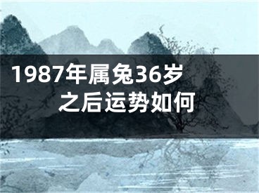 1987年属兔36岁之后运势如何