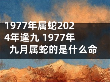 1977年属蛇2024年逢九 1977年九月属蛇的是什么命
