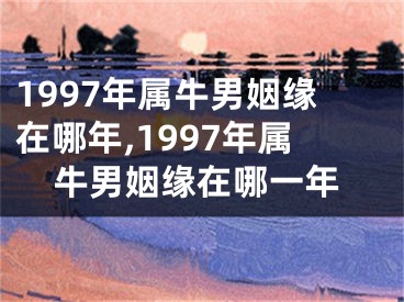 1997年属牛男姻缘在哪年,1997年属牛男姻缘在哪一年