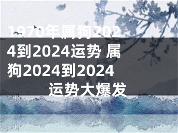 1970年属狗2024到2024运势 属狗2024到2024运势大爆发