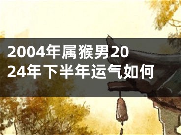 2004年属猴男2024年下半年运气如何