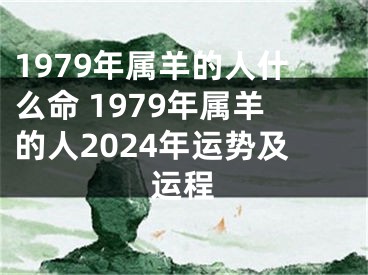 1979年属羊的人什么命 1979年属羊的人2024年运势及运程