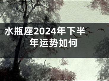 水瓶座2024年下半年运势如何