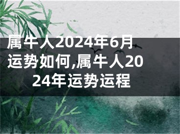 属牛人2024年6月运势如何,属牛人2024年运势运程