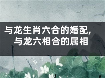 与龙生肖六合的婚配,与龙六相合的属相