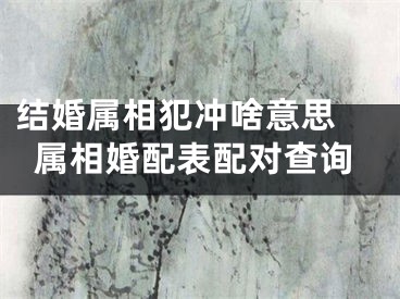 结婚属相犯冲啥意思 属相婚配表配对查询
