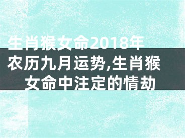 生肖猴女命2018年农历九月运势,生肖猴女命中注定的情劫