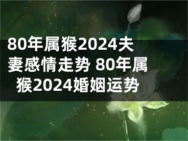 80年属猴2024夫妻感情走势 80年属猴2024婚姻运势