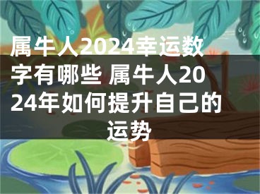属牛人2024幸运数字有哪些 属牛人2024年如何提升自己的运势