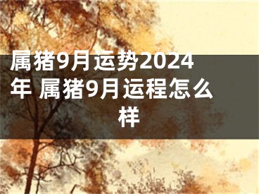 属猪9月运势2024年 属猪9月运程怎么样