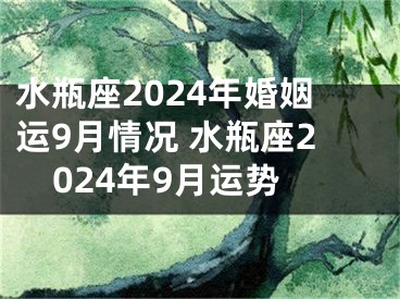 水瓶座2024年婚姻运9月情况 水瓶座2024年9月运势