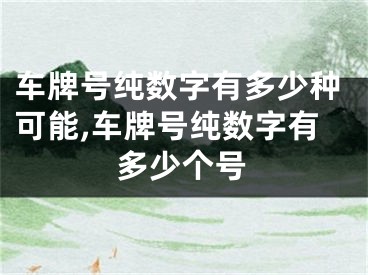 车牌号纯数字有多少种可能,车牌号纯数字有多少个号