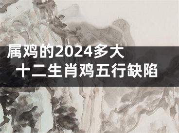 属鸡的2024多大 十二生肖鸡五行缺陷