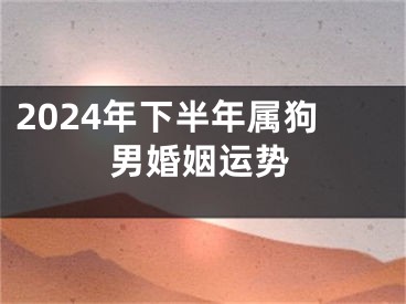 2024年下半年属狗男婚姻运势