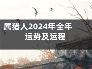 属猪人2024年全年运势及运程