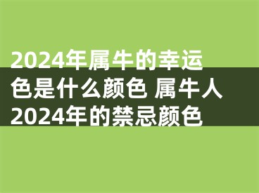 2024年属牛的幸运色是什么颜色 属牛人2024年的禁忌颜色