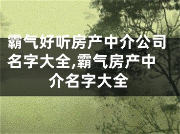 霸气好听房产中介公司名字大全,霸气房产中介名字大全