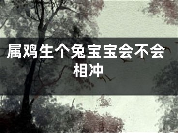 属鸡生个兔宝宝会不会相冲