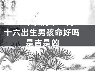 2024年农历十二月十六出生男孩命好吗 是吉是凶 