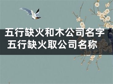 五行缺火和木公司名字 五行缺火取公司名称