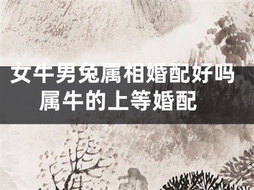 女牛男兔属相婚配好吗 属牛的上等婚配