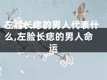 左脸长痣的男人代表什么,左脸长痣的男人命运