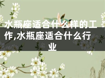 水瓶座适合什么样的工作,水瓶座适合什么行业