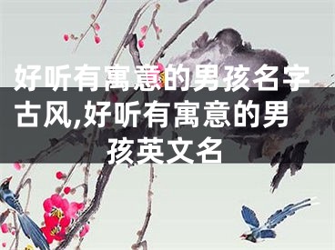 好听有寓意的男孩名字古风,好听有寓意的男孩英文名