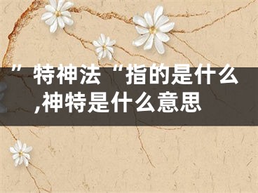”特神法“指的是什么,神特是什么意思