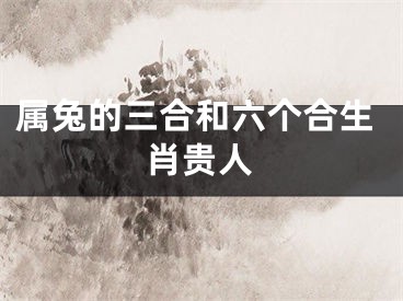 属兔的三合和六个合生肖贵人