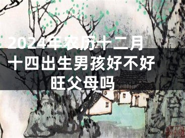 2024年农历十二月十四出生男孩好不好 旺父母吗 