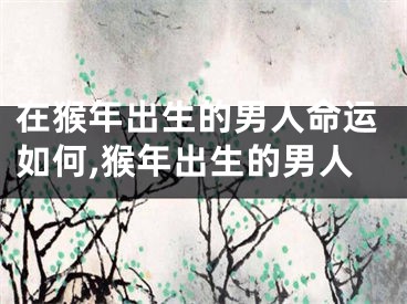 在猴年出生的男人命运如何,猴年出生的男人