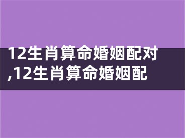12生肖算命婚姻配对,12生肖算命婚姻配