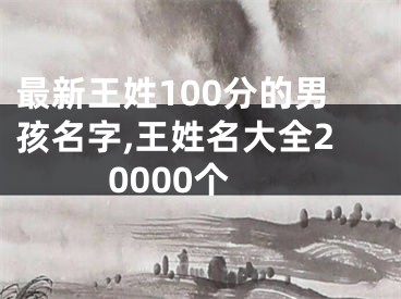 最新王姓100分的男孩名字,王姓名大全20000个