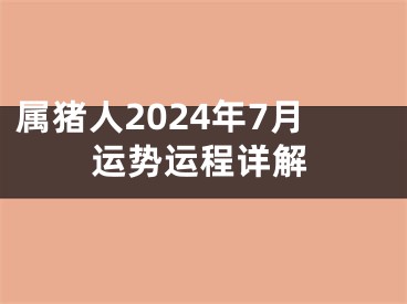 属猪人2024年7月运势运程详解