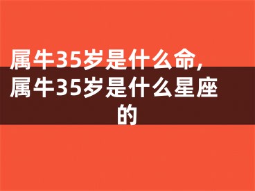 属牛35岁是什么命,属牛35岁是什么星座的