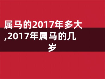 属马的2017年多大,2017年属马的几岁