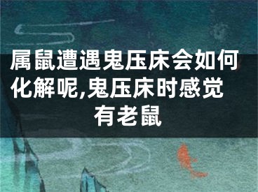 属鼠遭遇鬼压床会如何化解呢,鬼压床时感觉有老鼠