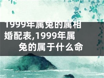 1999年属兔的属相婚配表,1999年属兔的属于什么命