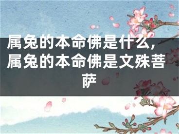 属兔的本命佛是什么,属兔的本命佛是文殊菩萨