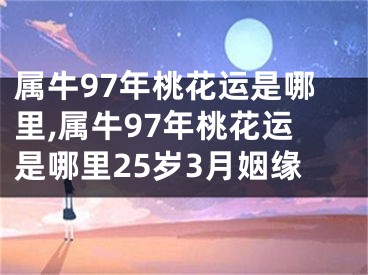 属牛97年桃花运是哪里,属牛97年桃花运是哪里25岁3月姻缘
