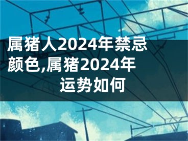 属猪人2024年禁忌颜色,属猪2024年运势如何