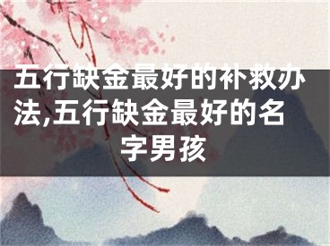 五行缺金最好的补救办法,五行缺金最好的名字男孩