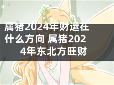 属猪2024年财运在什么方向 属猪2024年东北方旺财